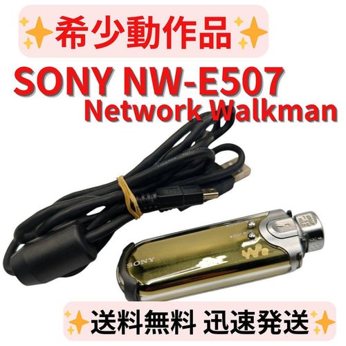 Sony Digital Audio Player Network Walkman Nw E507