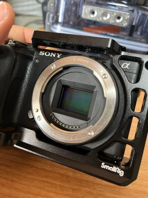 Sony Mirrorless Interchangeable Lens Cameras 6400+Sigma F2.8