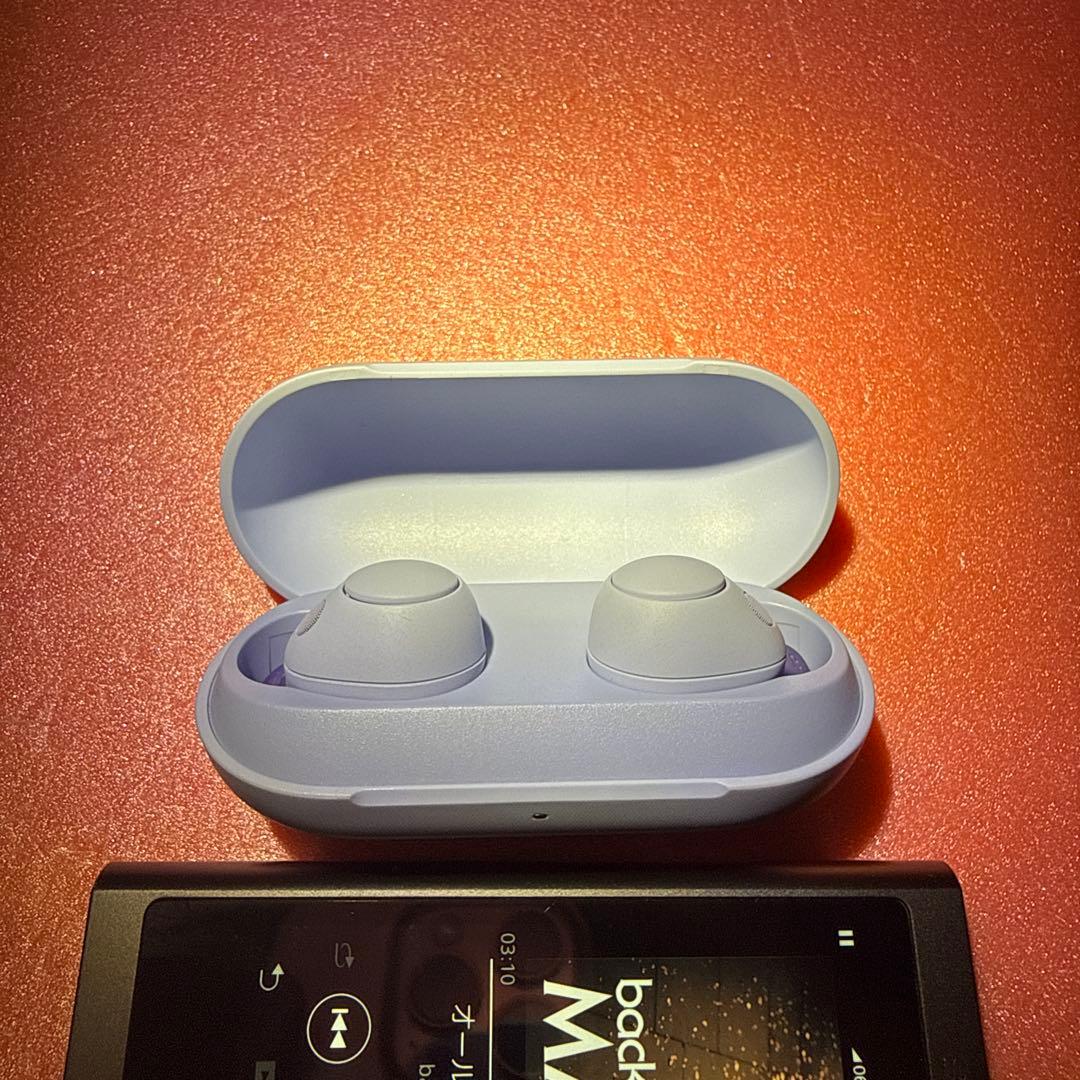 Sony Wireless Earphones Wf-C700N