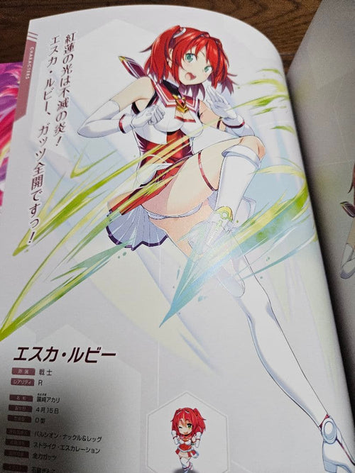 Illustrations 4