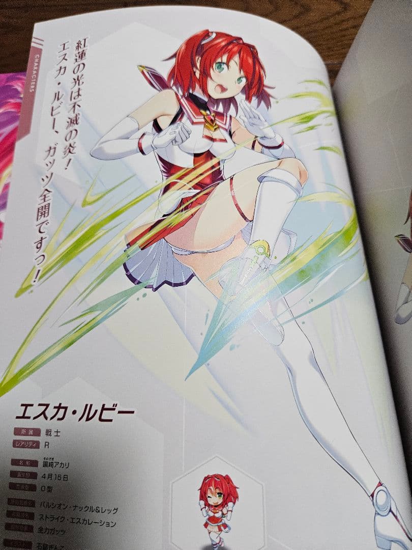 Illustrations 4