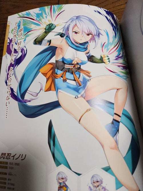 Illustrations 4