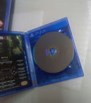 Software (Package Version) Ps4 4