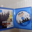 Software (Package Version) Ps4 4