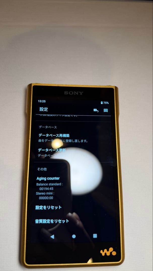 Sony Digital Audio Players Nw-Wm1Zm2