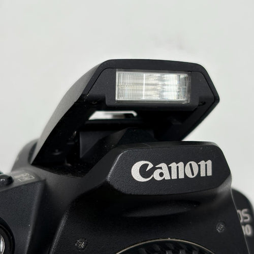 Canon Digital Slrs Eos D30