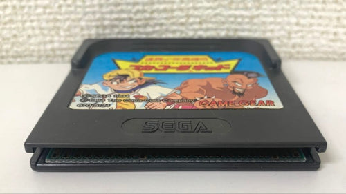 Other Sega
