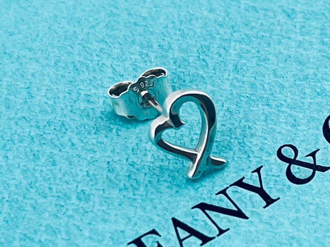 Tiffany Earrings (Single) F488 925