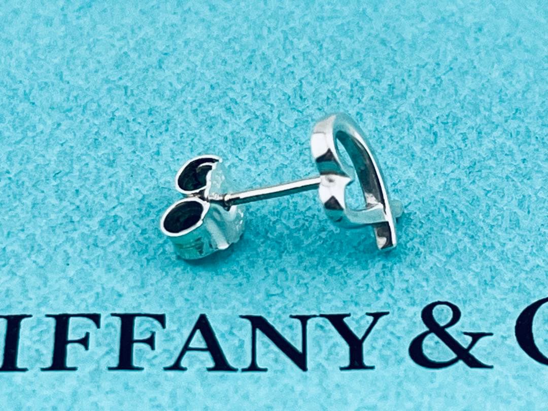 Tiffany Earrings (Single) F488 925