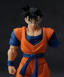 Dragon Ball S.H.Figuarts Hm