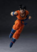 Dragon Ball S.H.Figuarts Hm