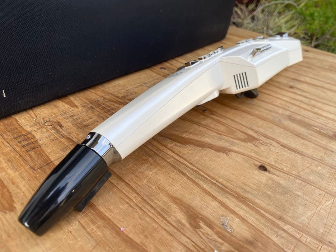 Roland Other Ae-10 Aerophone
