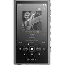 Sony Digital Audio Player Nw-A307 H A 64Gb Nwa307Hc