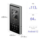 Sony Digital Audio Player Nw-A307 H A 64Gb Nwa307Hc