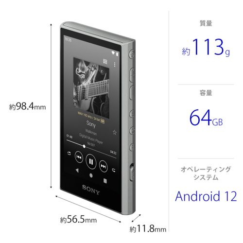 Sony Digital Audio Player Nw-A307 H A 64Gb Nwa307Hc