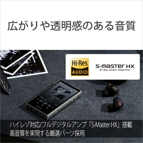 Sony Digital Audio Player Nw-A307 H A 64Gb Nwa307Hc