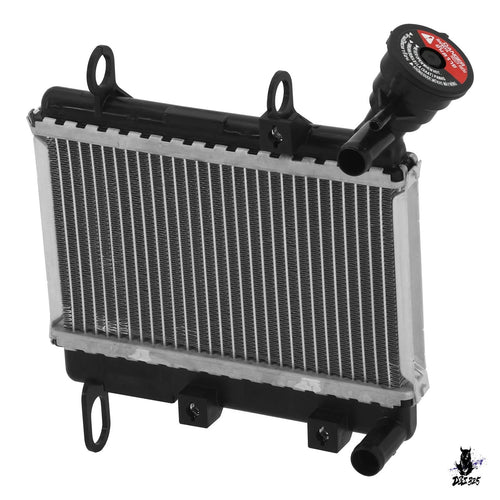 Engine Cooling Device Yamaha Y16 Y16Zr