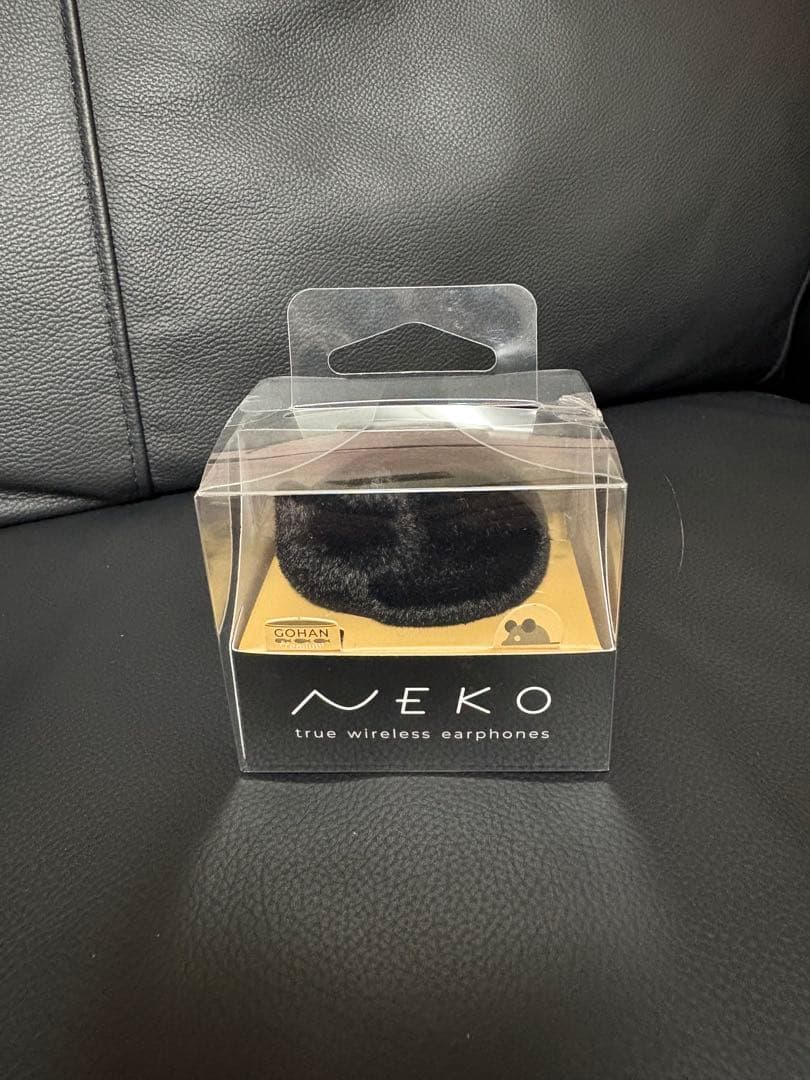 Radius Wireless Earphones Ver