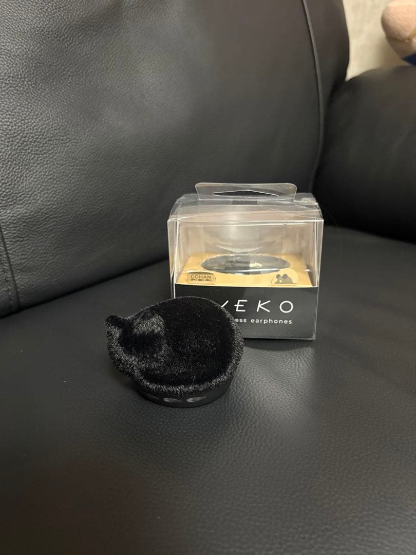 Radius Wireless Earphones Ver