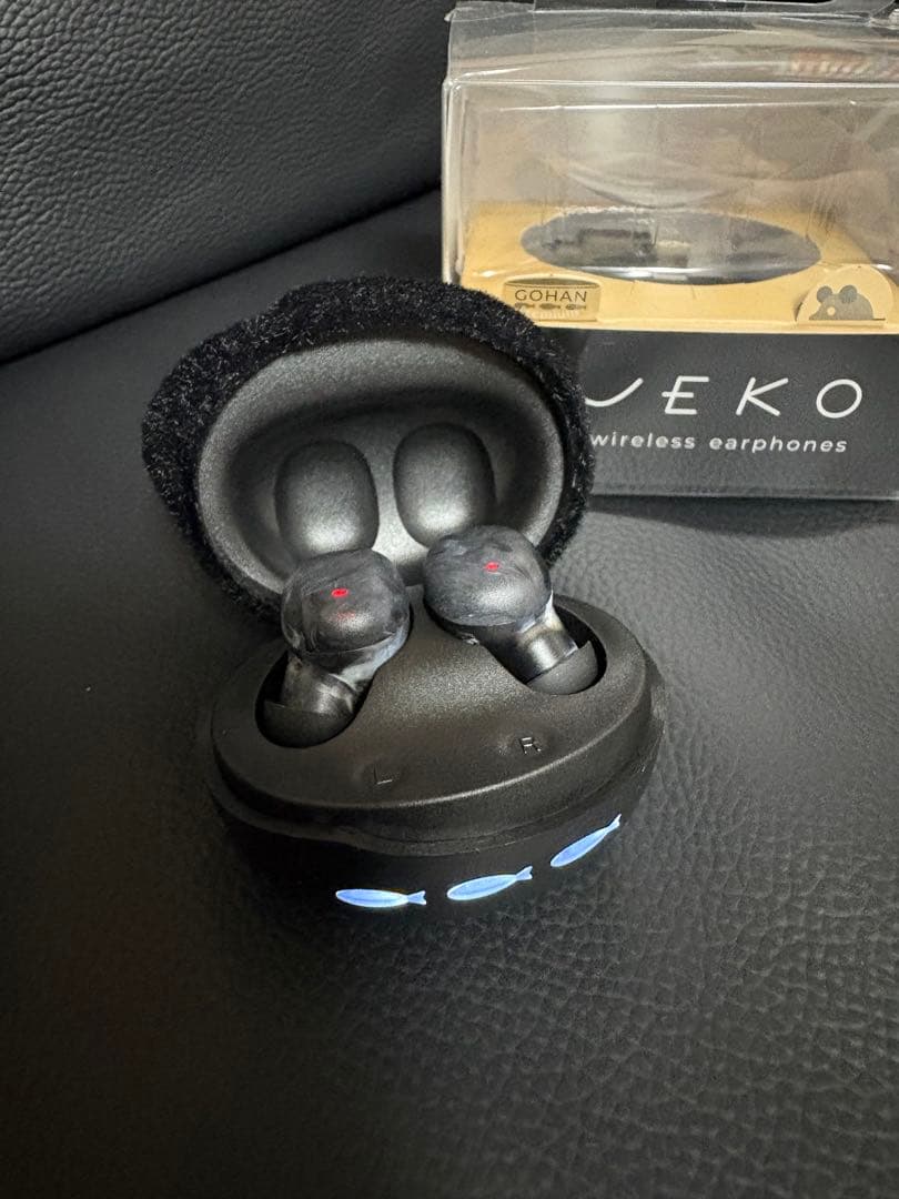 Radius Wireless Earphones Ver