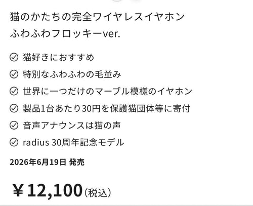 Radius Wireless Earphones Ver