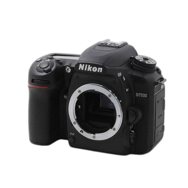 Nikon Digital Slr D7500 348