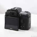 Nikon Digital Slr D7500 348