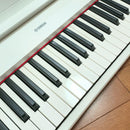 Yamaha Keyboards Digital Pianos Piaggero Np-12 Wh 61