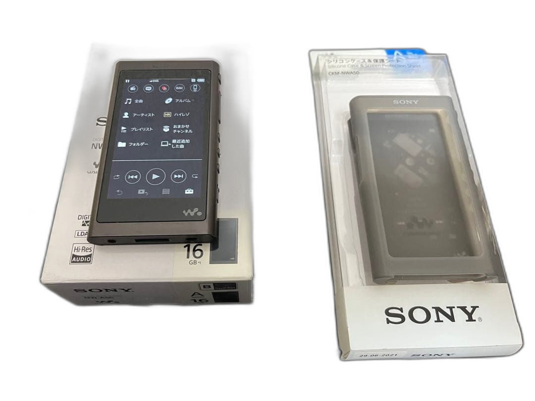 Sony Digital Audio Player [128Gb Sd Nw-A55