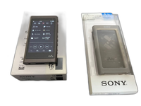 Sony Digital Audio Player [128Gb Sd Nw-A55