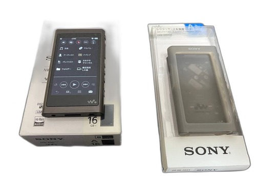 Sony Digital Audio Player [128Gb Sd Nw-A55