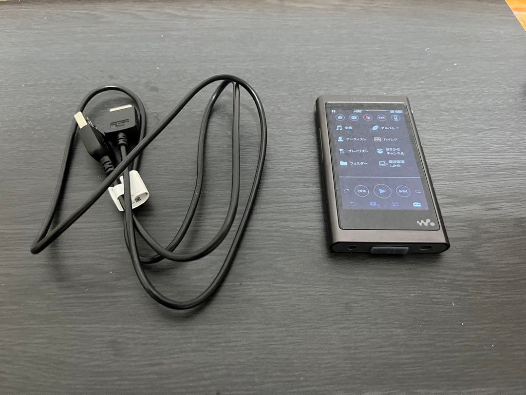 Sony Digital Audio Player [128Gb Sd Nw-A55