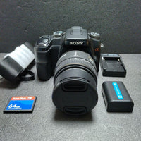 Sony Digital Slrs 100