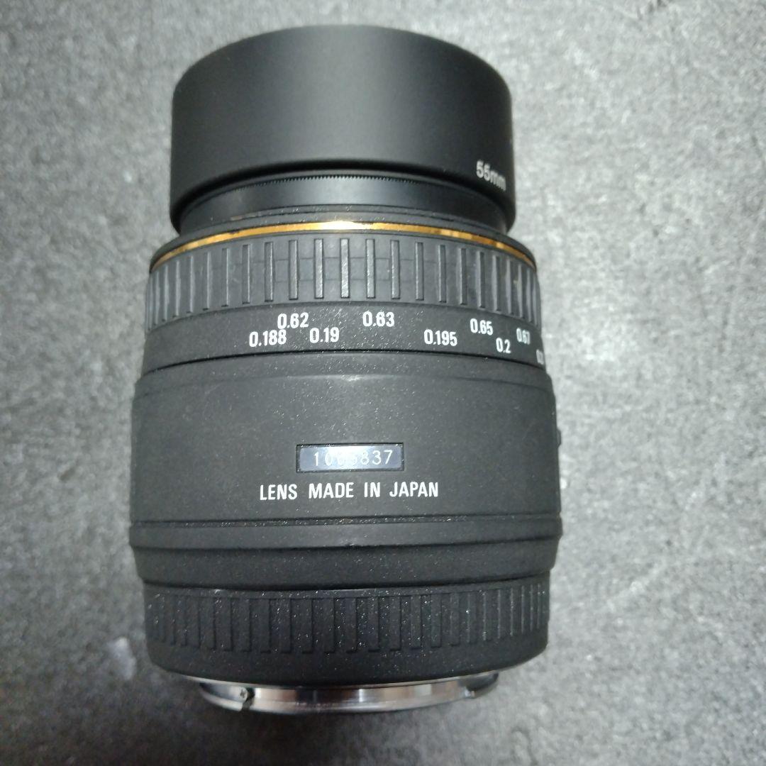 Sony Digital Slrs 100