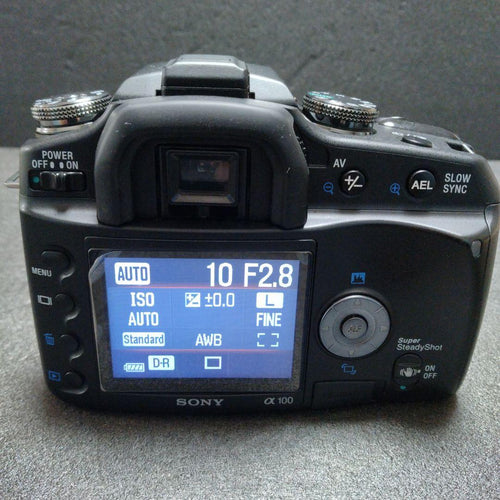 Sony Digital Slrs 100
