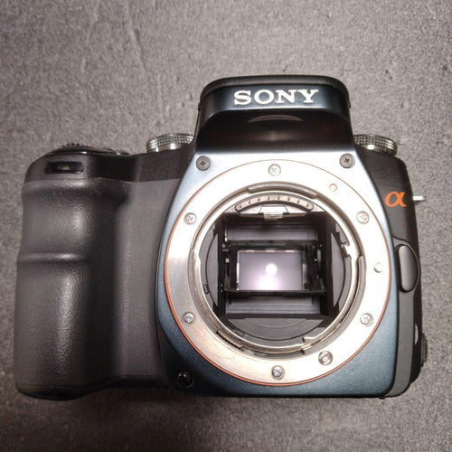 Sony Digital Slrs 100