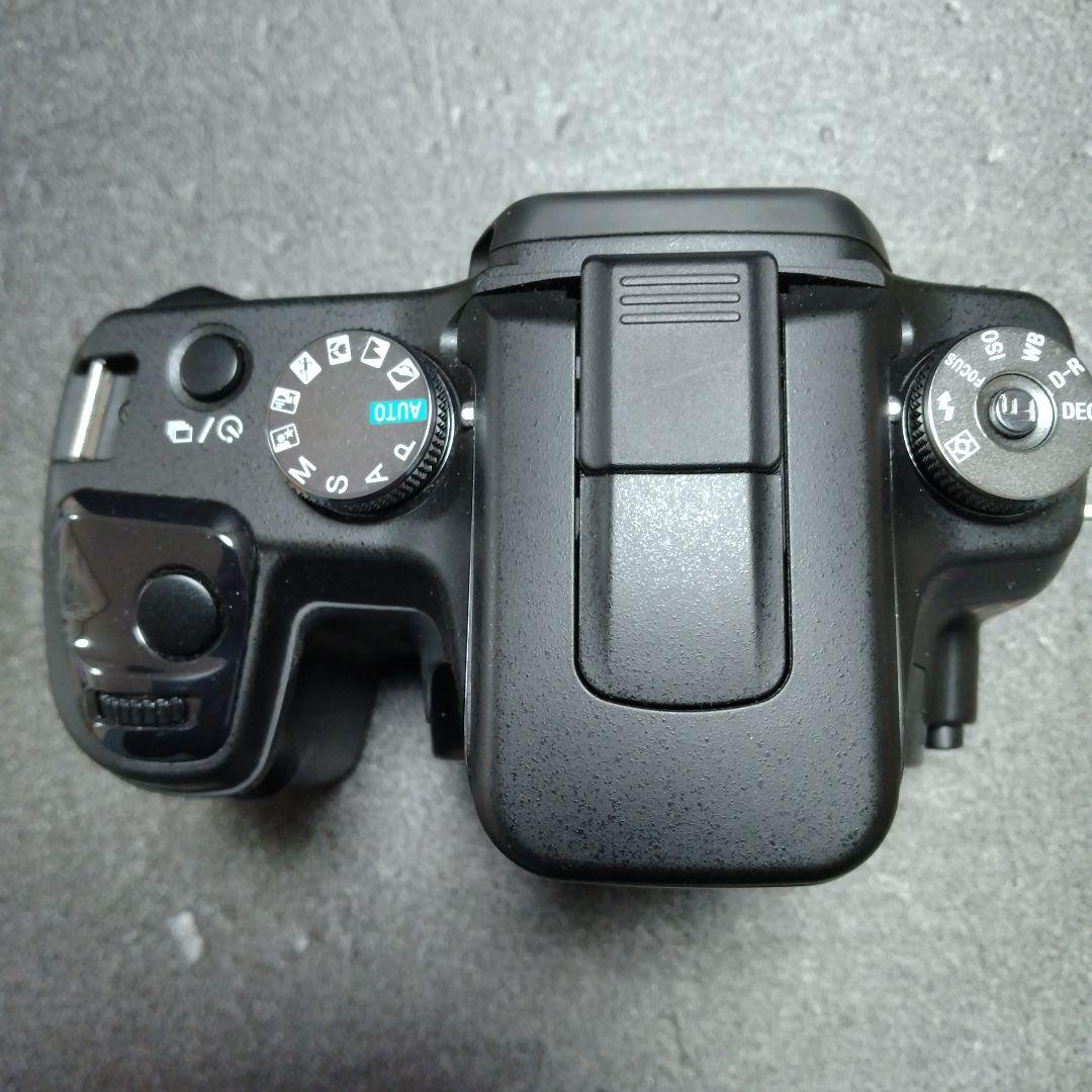 Sony Digital Slrs 100