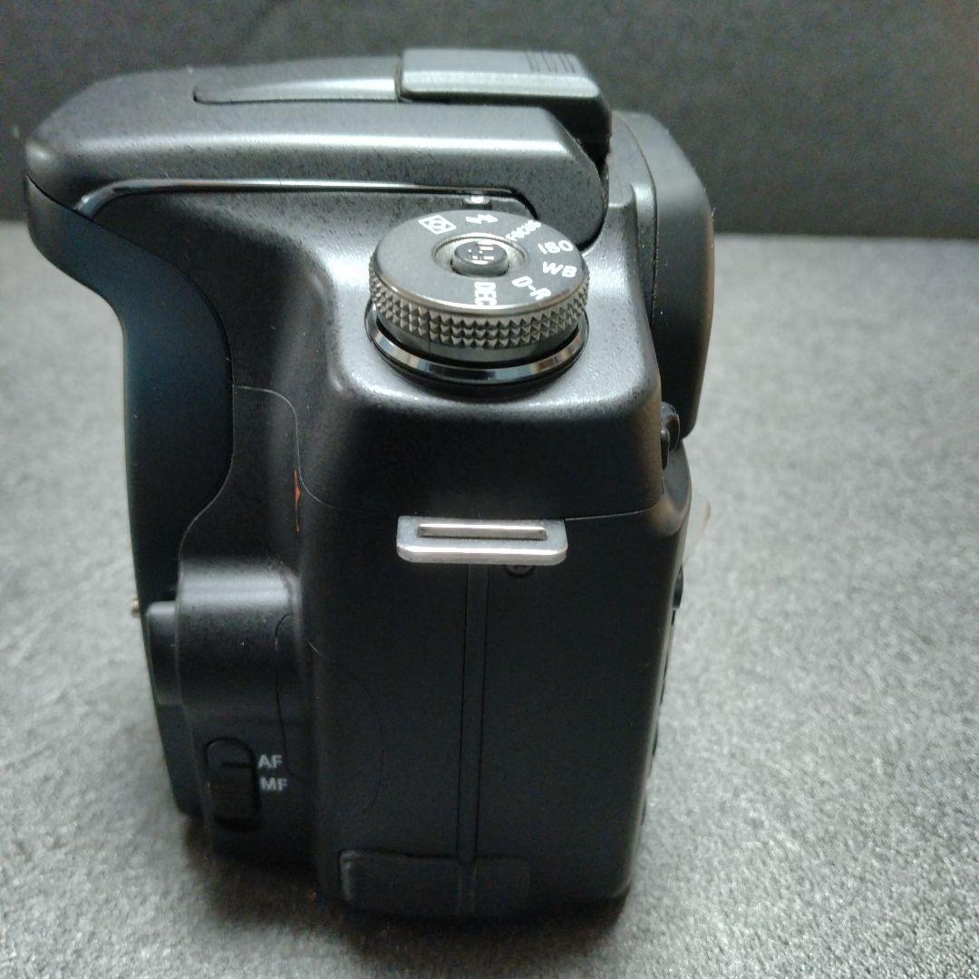 Sony Digital Slrs 100