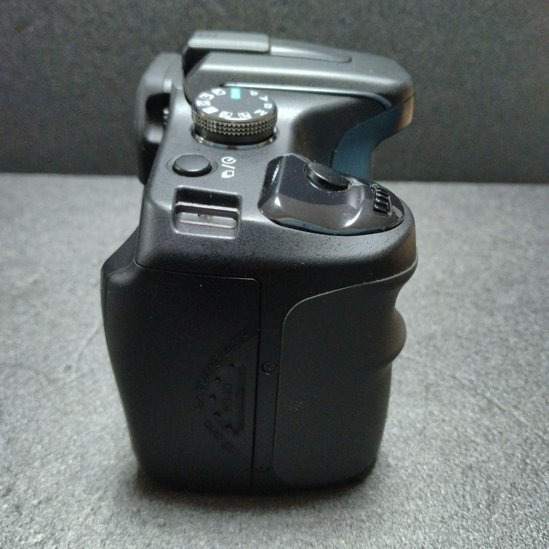 Sony Digital Slrs 100
