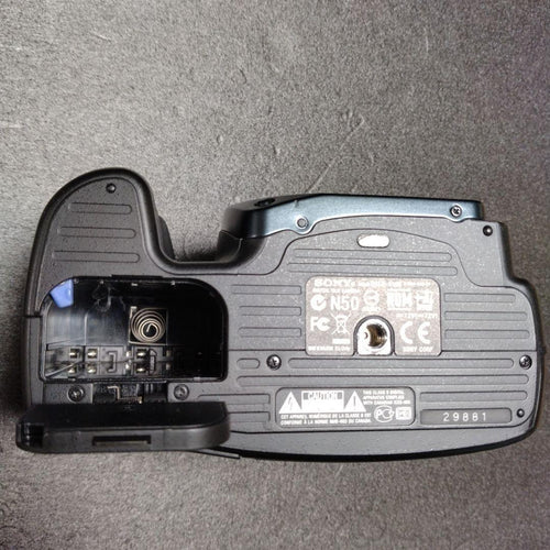 Sony Digital Slrs 100