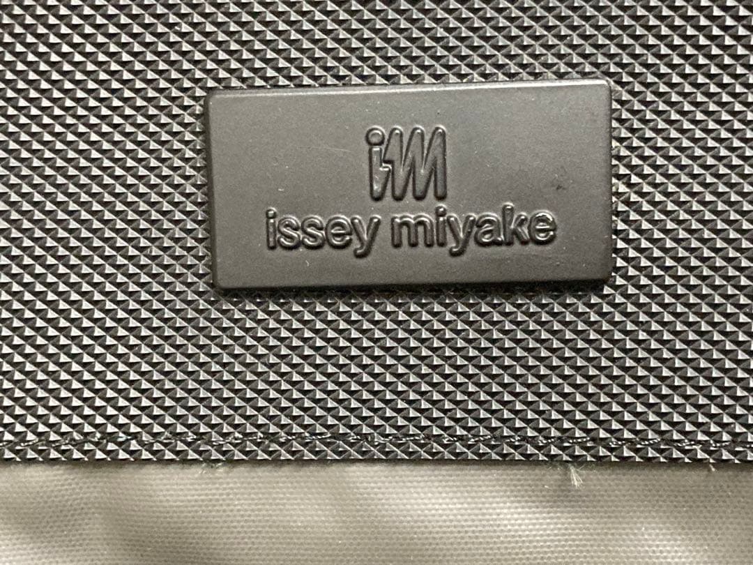 Issey Miyake Business Bags