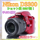 Nikon Digital Slr D3300