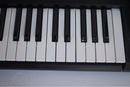 Yamaha Keyboards Digital Pianos E223