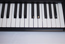Yamaha Keyboards Digital Pianos E223
