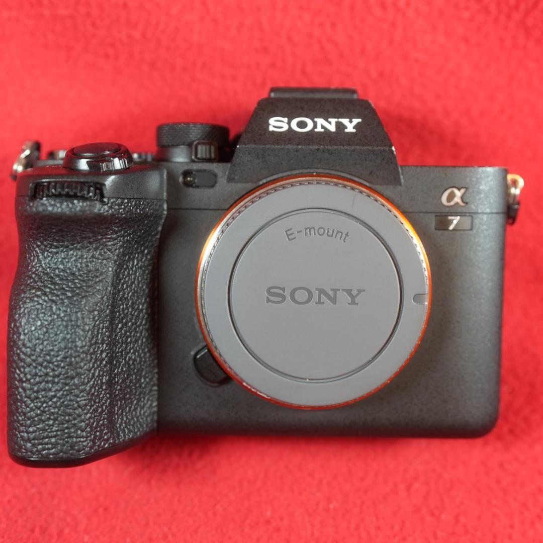 Sony Mirrorless Interchangeable Lips 7