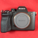 Sony Mirrorless Interchangeable Lips 7