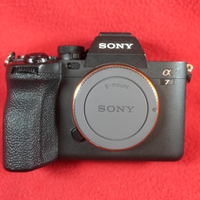 Sony Mirrorless Interchangeable Lips 7