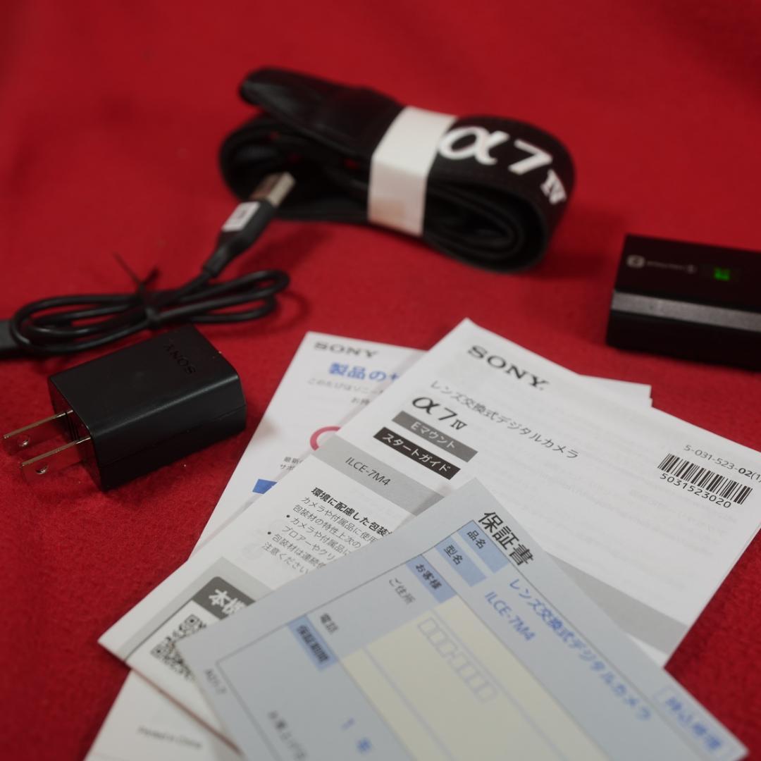 Sony Mirrorless Interchangeable Lips 7