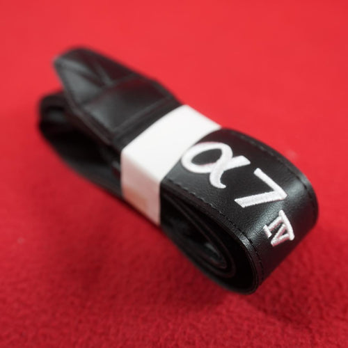 Sony Mirrorless Interchangeable Lips 7