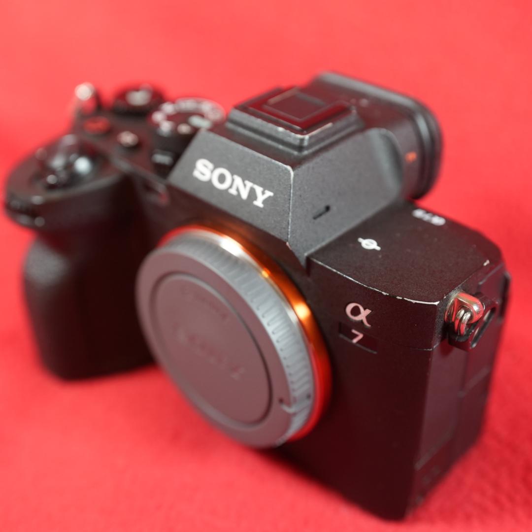 Sony Mirrorless Interchangeable Lips 7